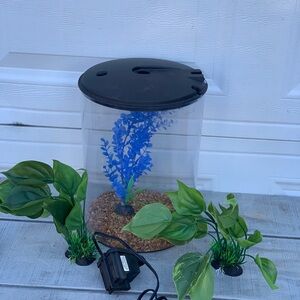 3 Gallon Clear Round Fish Tank Aquarium  Filter Starter Kit Plants Pebbles